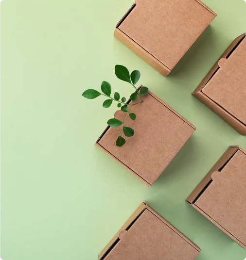 India’s First Patient- Centric Sustainable Packaging
